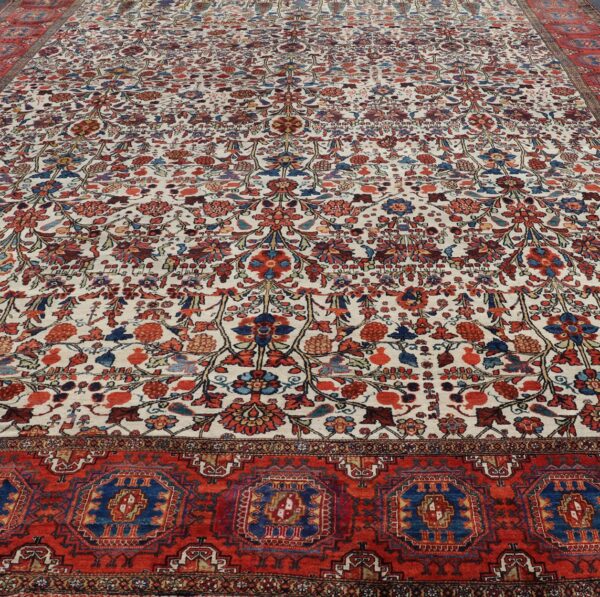 Rug X23-0305-278