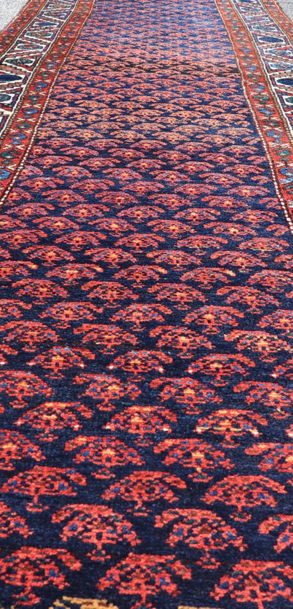 Rug AVI-1102 - Image 3