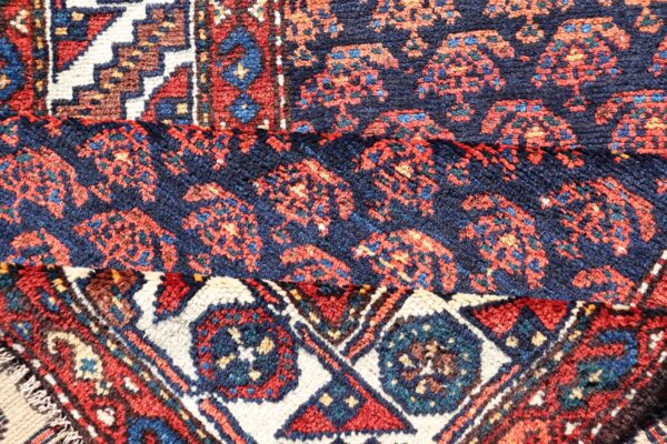 Rug AVI-1102 - Image 6