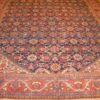 Rug SN-WL-25