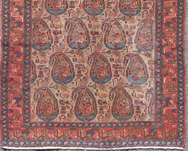 Rug B-0504 - Image 3