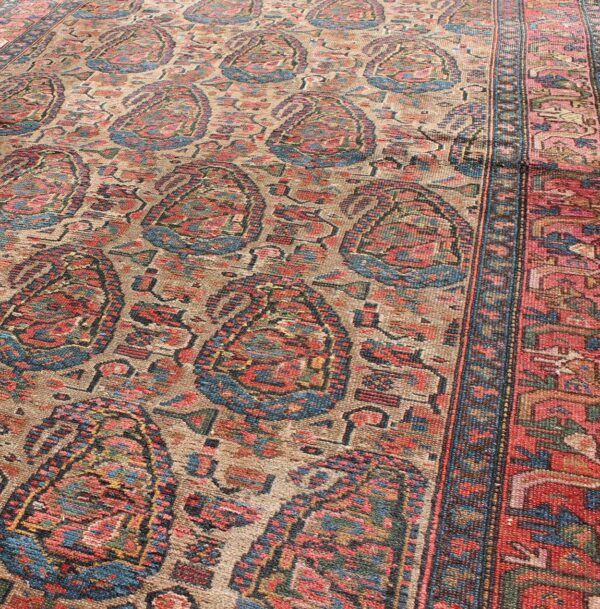 Rug B-0504