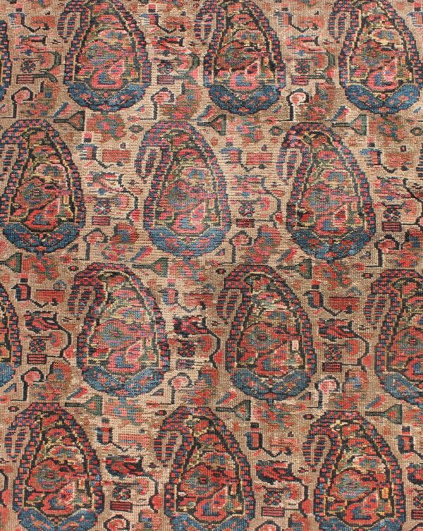 Rug B-0504 - Image 5