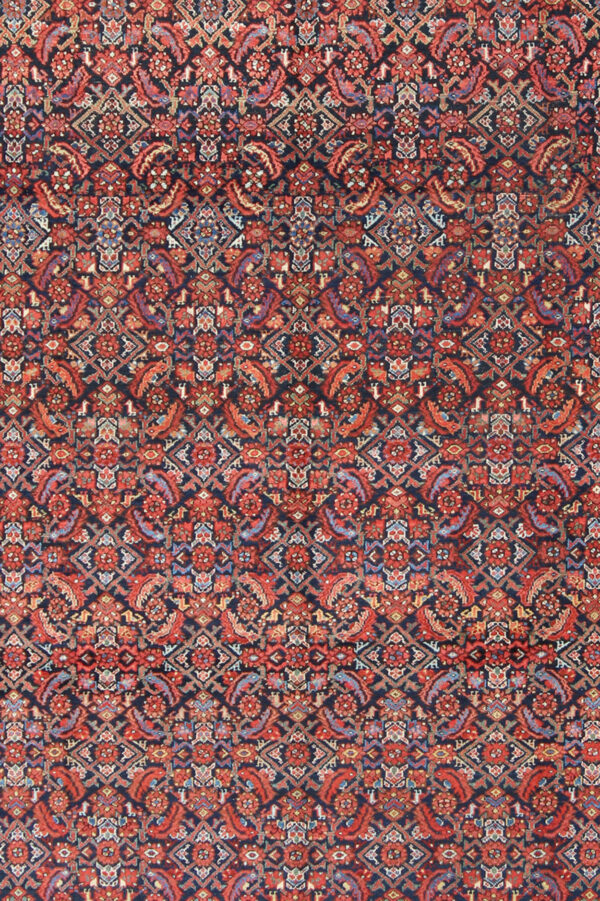 Rug F-0909 - Image 2