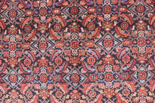 Rug F-0909 - Image 5