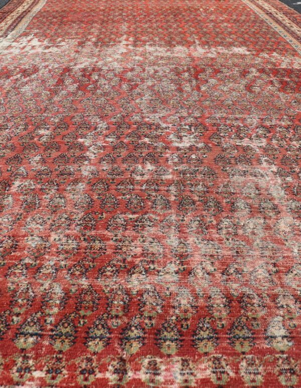 Rug KBE-230902 - Image 4