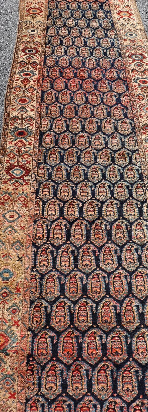 Rug X23-0903 - Image 5