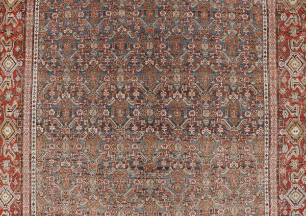 Rug AVI-0701 - Image 5