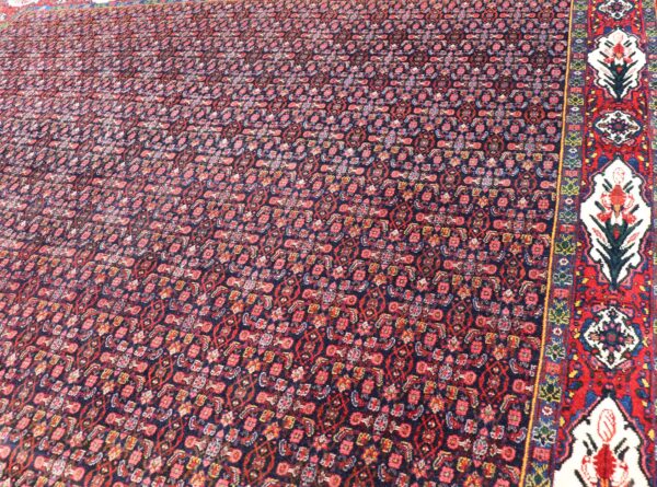 Rug X23-0613-366 - Image 2