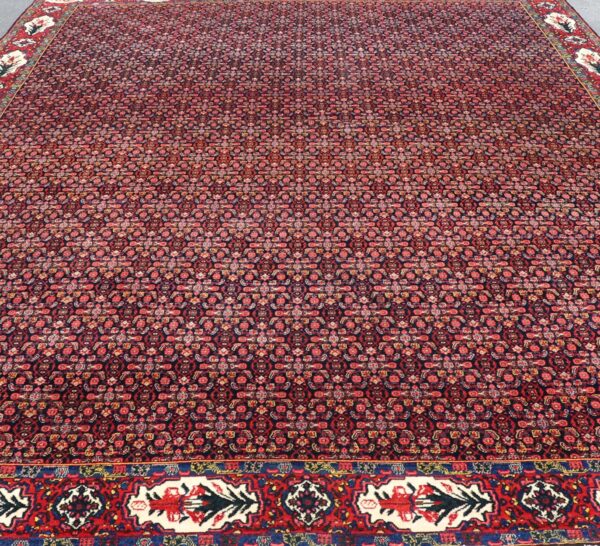 Rug X23-0613-366 - Image 3