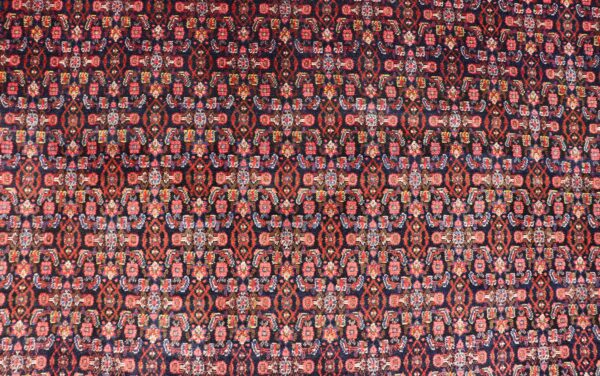 Rug X23-0613-366 - Image 5