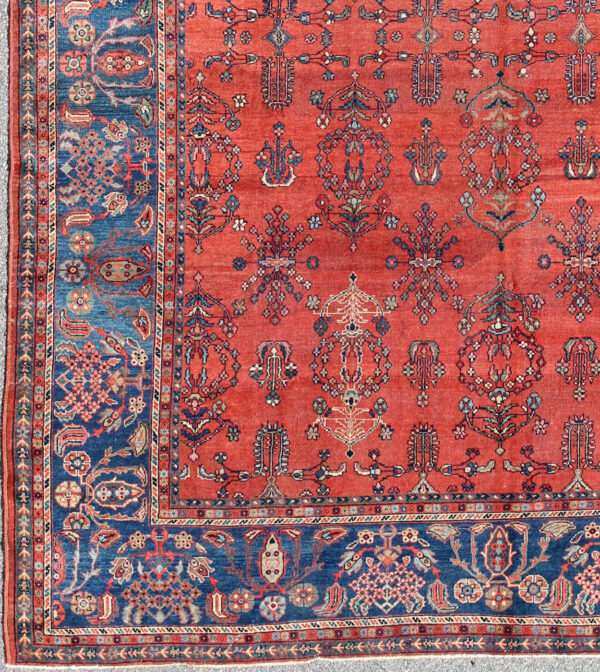 Rug C-0919 - Image 3