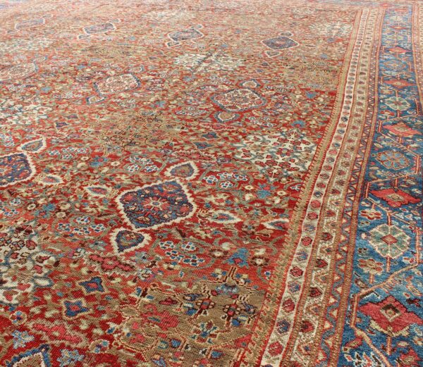 Rug D-0535