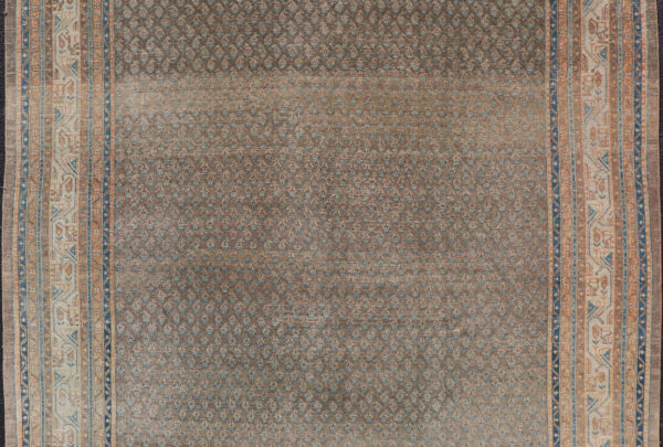 Rug VAS-50681 - Image 2