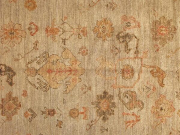 Rug AN-97228 - Image 2